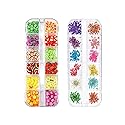 Sinen 1 Box Dried Flowers and 1 Box Fruit Slices for Nail Art, 3D Dry Flowers Nail Stickers ,Colorful Natural Real Flower Nail Decals, Fruit Fimo