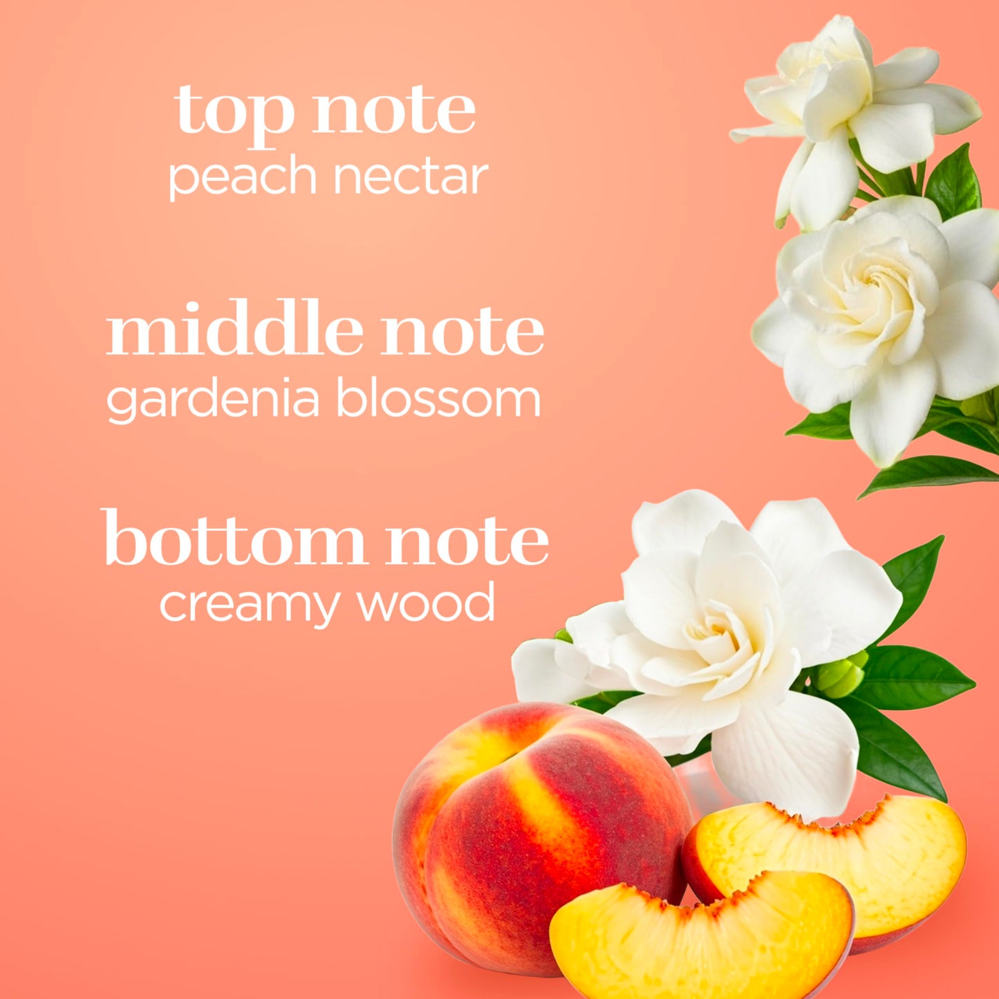 Body Fantasies Signature Fragrance Body Spray, Sweet Sunrise Fantasy, 8 Fluid Ounce