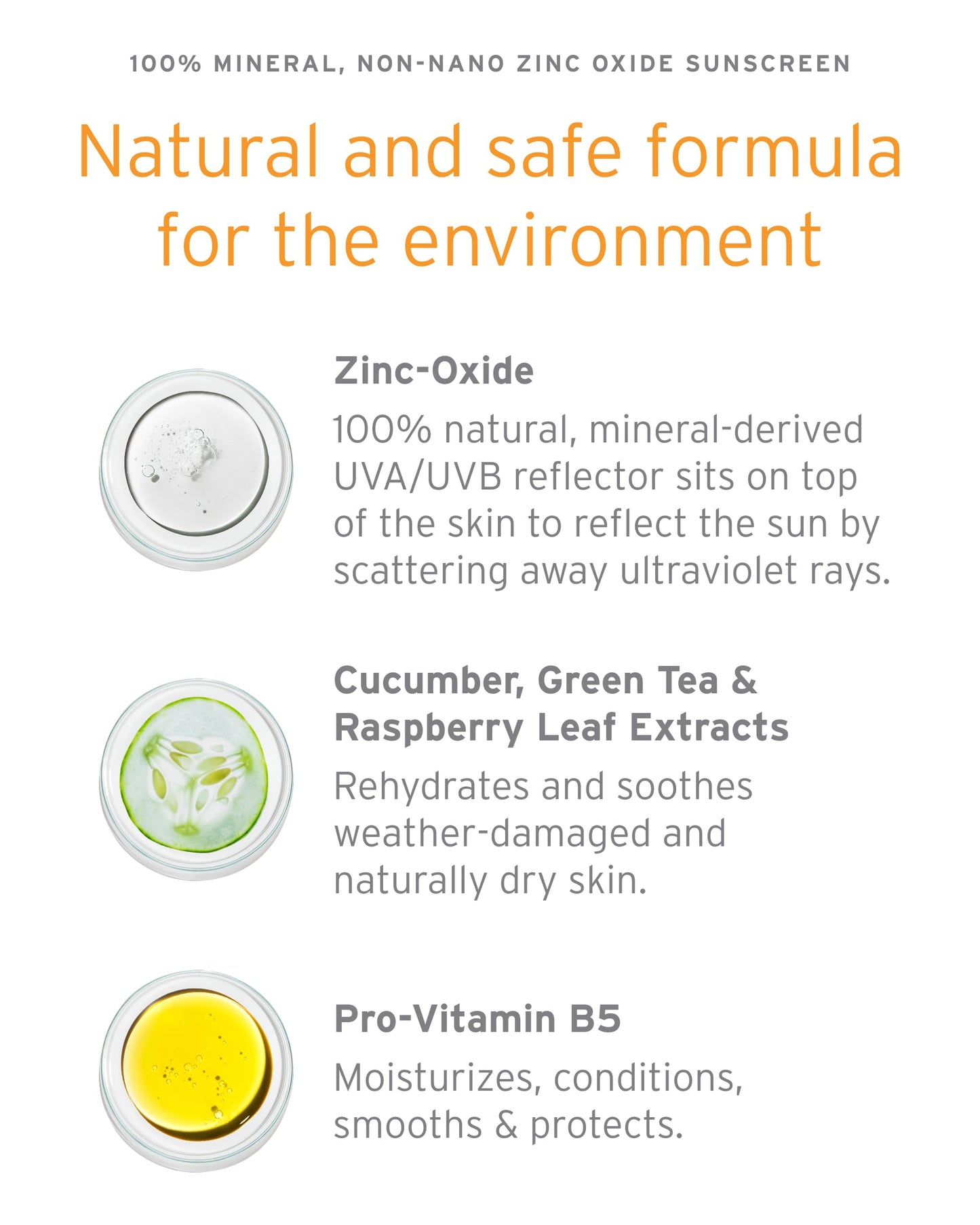 Kerstin Florian Sheer Mineral Body Sunscreen SPF 30 | Waterproof UVA/UVB Sun Protection with Natural Zinc Oxide | Reef Safe Fragrance Free Formula