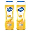 Dial Body Wash, Gold 16 oz (Pack of 2)