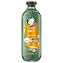 Herbal Essences Shampoo, 13.5 Fl Oz, Honey Daily Moisture, Sulfate Free, Nourishes, with Certified Camellia Oil and Aloe Vera, For All Hair Types