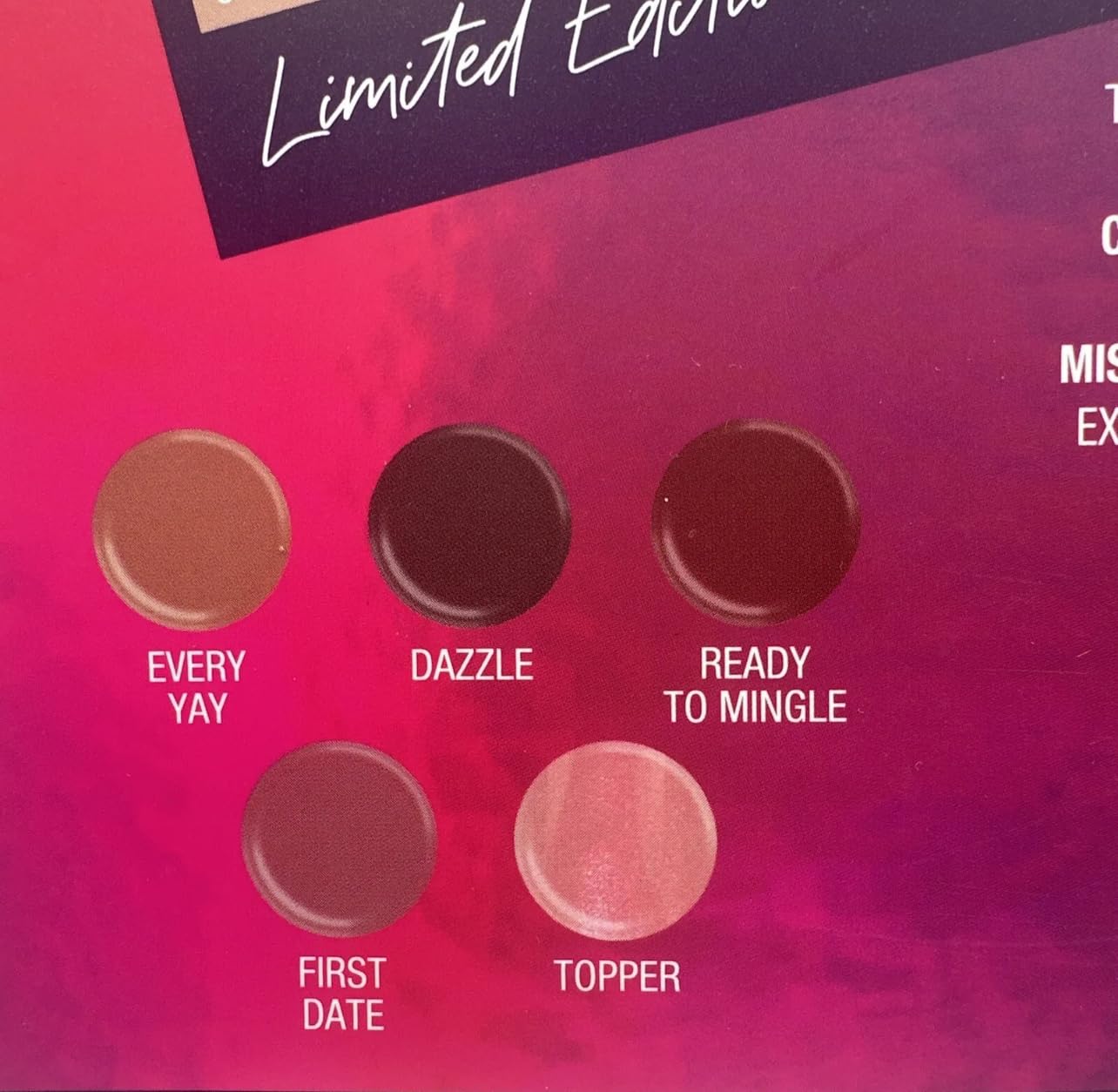 L.A. COLORS 5pc All Is Bright Lip Color Set, Lips Do Matter, 1 Count (Pack of 1)