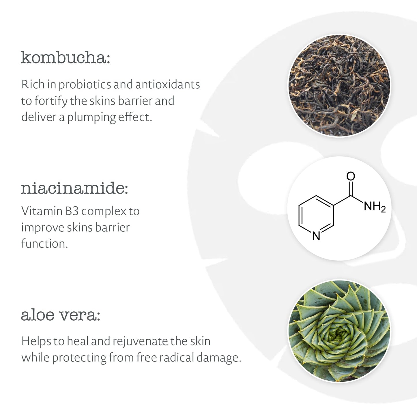 Elemental Herbology Kombucha Infusion Sheet Mask, 1 Mask- Radiance-Boosting, Face Sheet Mask with Probiotics, Niacinamide & Aloe Vera - Brightens