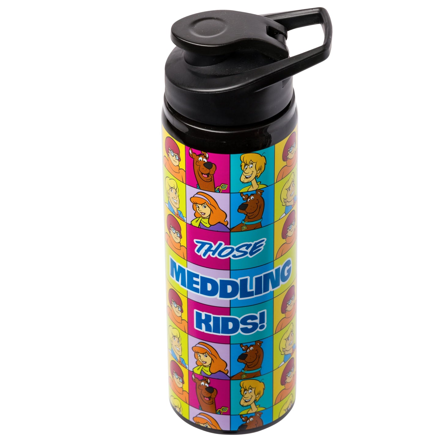 Silver Buffalo Scooby-Doo “Those Meddling Kids!” Stainless Steel Water Bottle Featuring Scooby-Doo, Fred, Velma, Shaggy, and Daphne, 25 Ounces