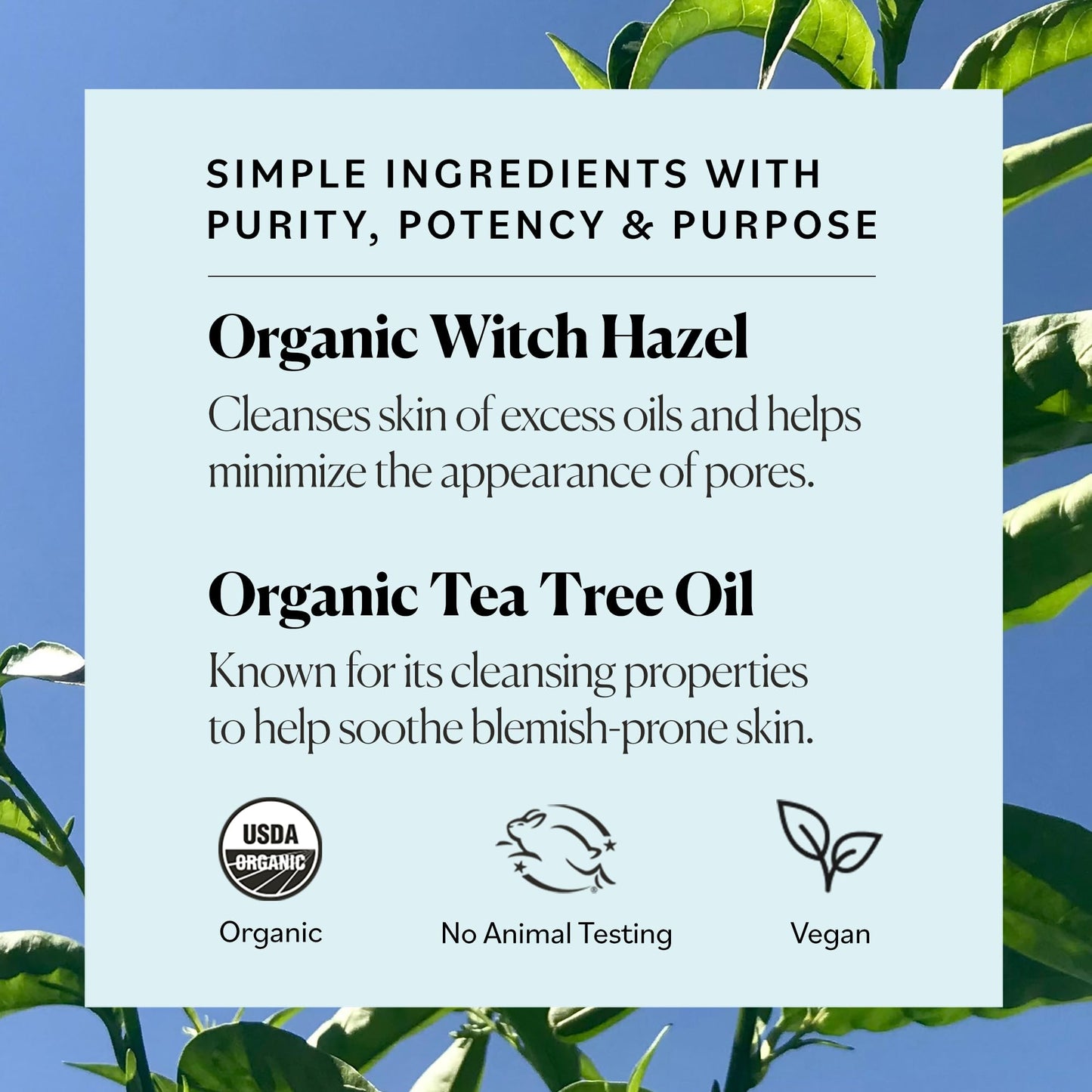 Sky Organics Organic Tea Tree & Witch Hazel for Face, Purifying Facial Toner to Hydrate, Soothe, Cleanse and Balance Blemish-Prone Skin, Helps