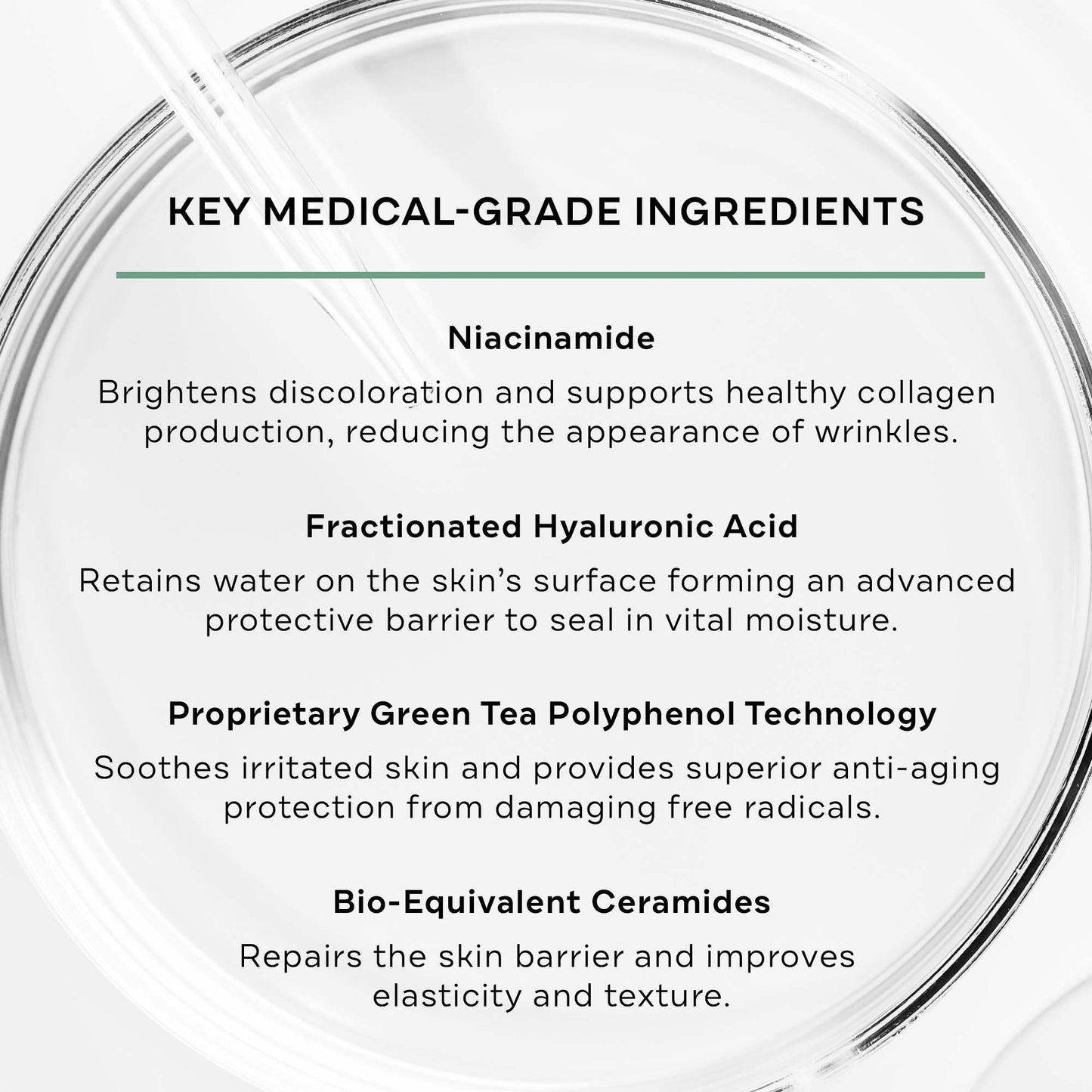 Replenix Age Restore Brightening Face Moisturizer with Hyaluronic Acid, Niacinamide & Ceramides, Medical-Grade Oil-Free Facial Cream for Mature Skin