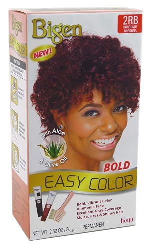 Bigen Easy Color #2RB Burgundy 2.82 Ounce (2 Pack)