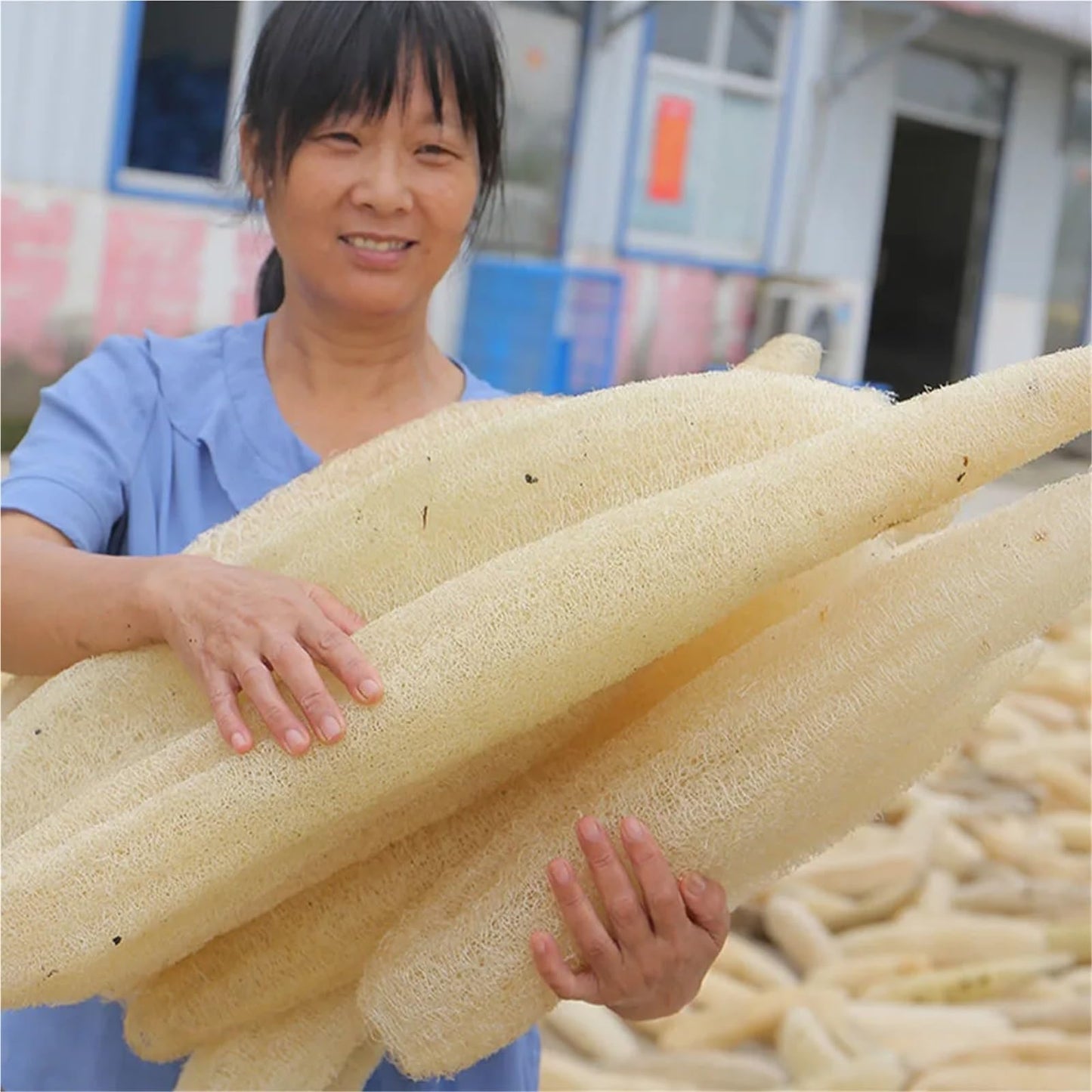 Natural Loofah Bath Body Shower Sponge Scrubber Pad Whole Full Lufa Exfoliation Biodegradable Luffa Sponge Scrubber(30-35cm-1pcs) Beauty and Personal Care HIVJEEDYH