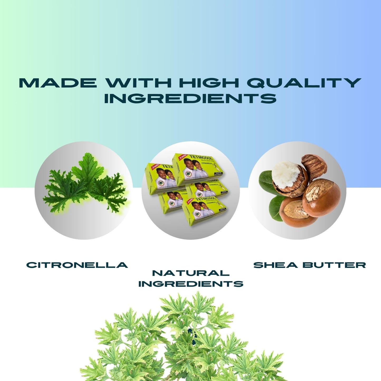 NatoGears Tetmosol Medicated Soap With Citronella Pack (5) Beauty & Personal Care NatoGears