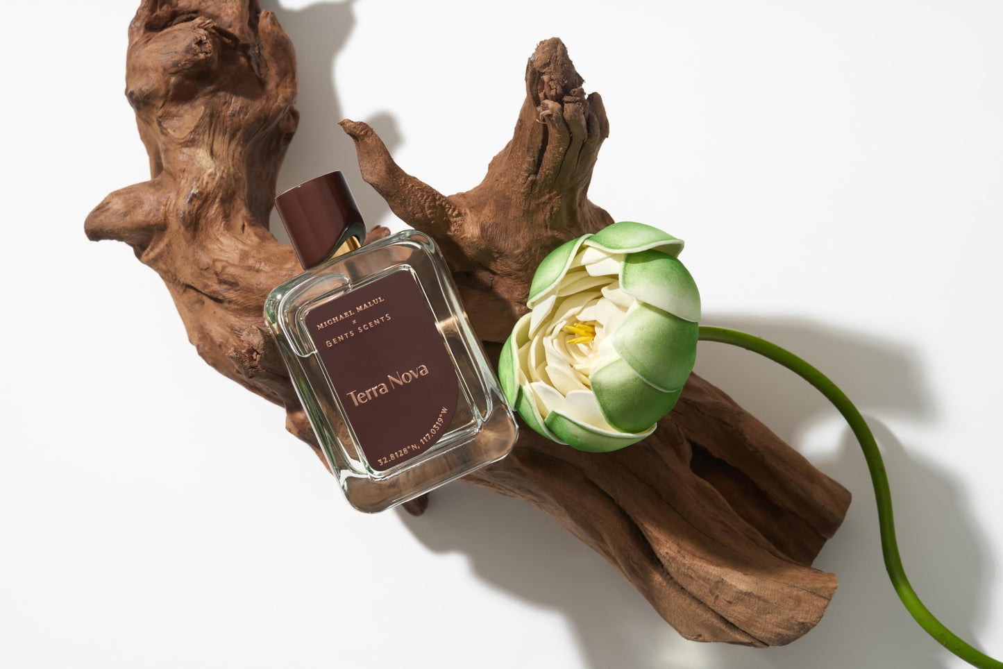 Michael Malul Terra Nova Eau de Parfum for Men - 100ml | 3.4oz