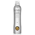Kenra Professional Dry Oil Control Spray 14 | Medium Hold | Nourishing Spray | Frizz Control Hairspray | All Hair Types | 8 oz