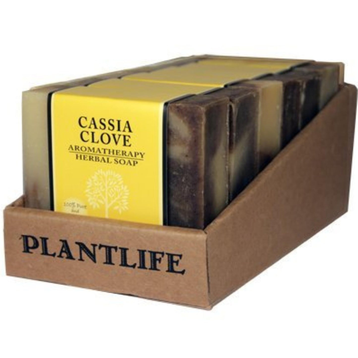 Plantlife Cassia Clove 6-pack Bar Soap - Moisturizing and Soothing Soap for Your Skin - Hand Crafted Using Plant-Based Ingredients - Made