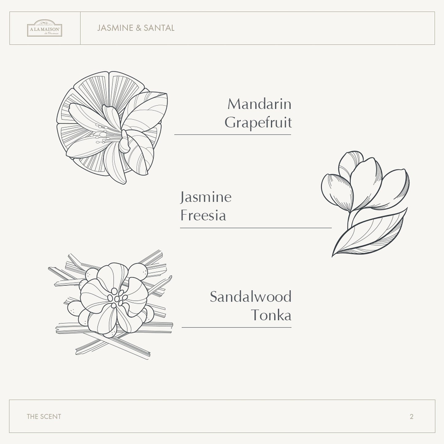 A LA MAISON Hand Soap Refill Pouch - Jasmine & Santal- Liquid Hand Wash Refill, Eco-Friendly & Recyclable - Plant-Based, Biodegradable, Made in France Beauty & Personal Care A LA MAISON