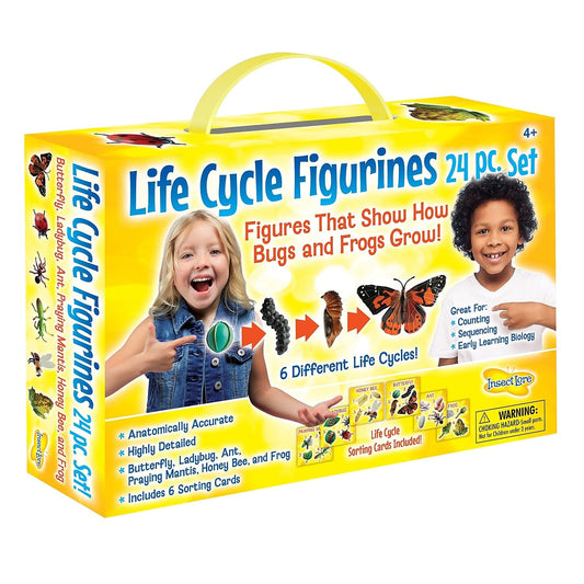 Insect Lore's Life Cycle Figurines 24 Pc Set | Butterfly, Ladybug, Frog, Honey Bee, Ant and Praying Mantis | 4 Stages Per Insect, 24 Figurines Total