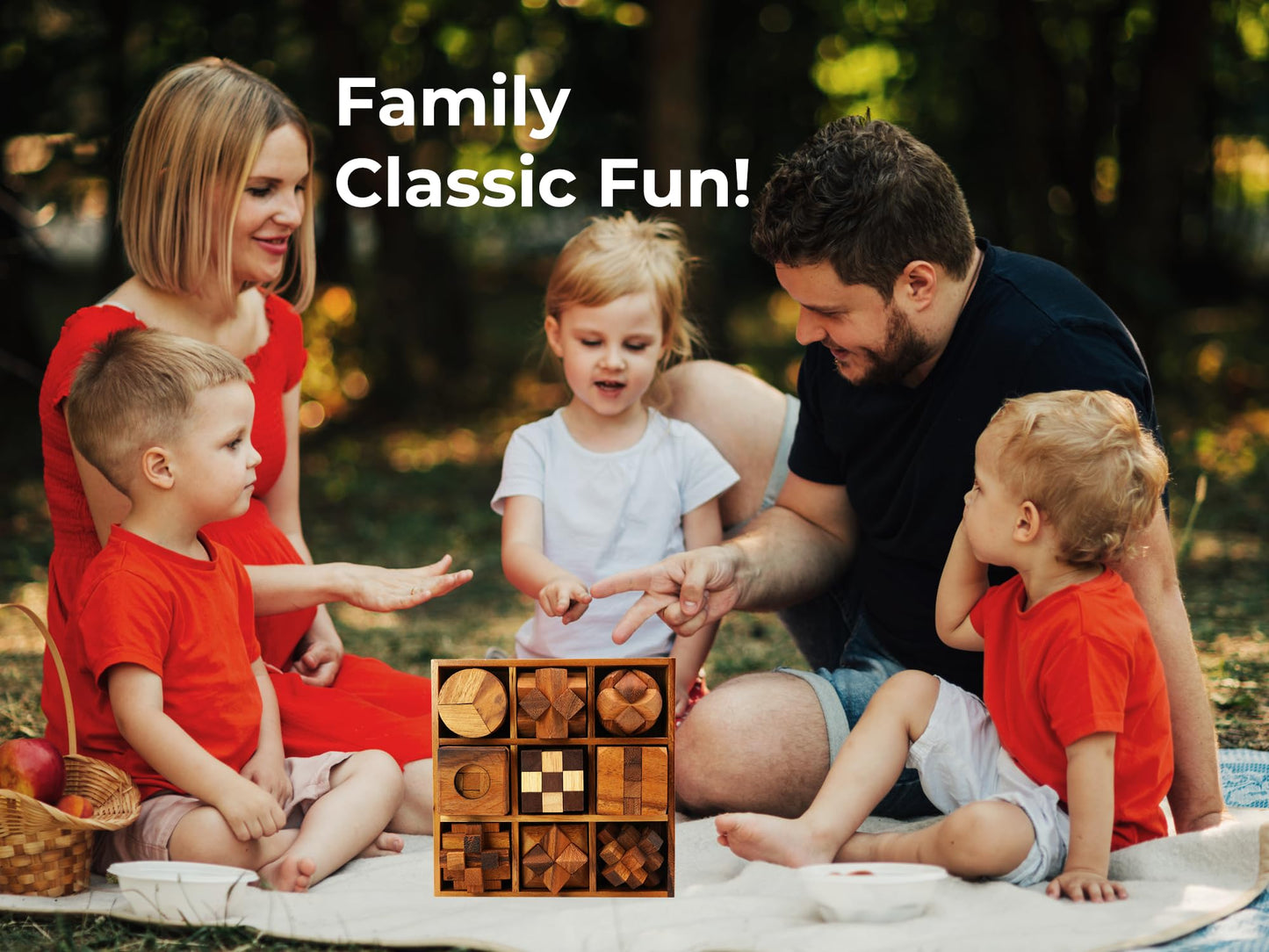 BSIRI 9-in-1 Wooden Brain Teaser Puzzle Set – 3D Mind Games for Kids, Teens & Adults, Hard Level 10, Decorative & Mini Toy Set