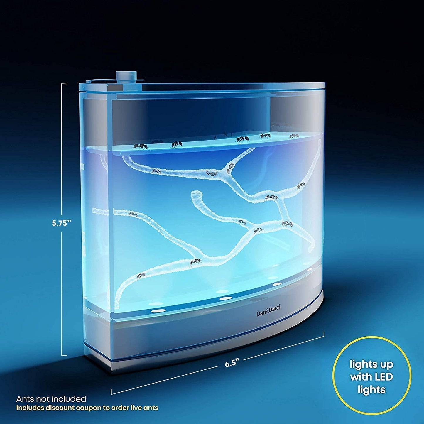 Dan&Darci Light-Up Ant Farm Terrarium – LED Habitat with Nutrient-Rich Gel, Watch Ants Dig Tunnels, Fun STEM Science Kit & Gift for Kids