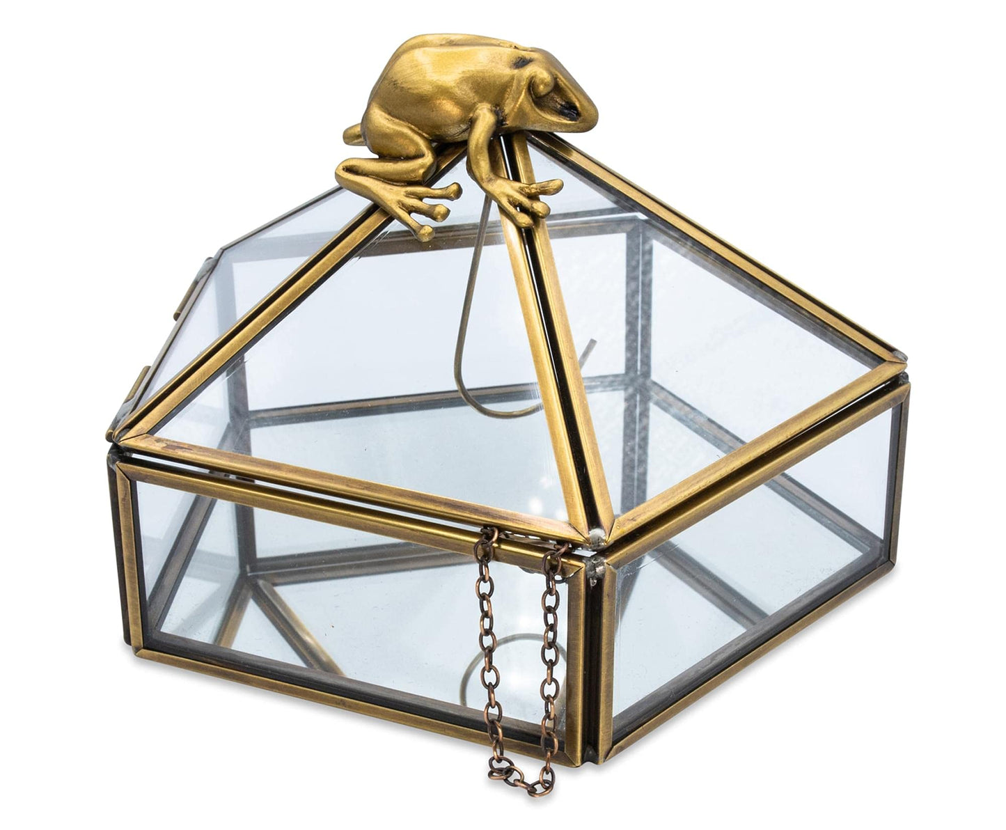 Ukonic Harry Potter Gold Chocolate Frog Jewelry Box Organizer Display Case Container | Jewelry Dish Trinket Tray For Necklaces, Rings, Bracelets…