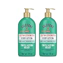 Gold Bond Medicated Body Lotion Extra Strength, Aloe Vera, 14 Ounce (Pack of 2)
