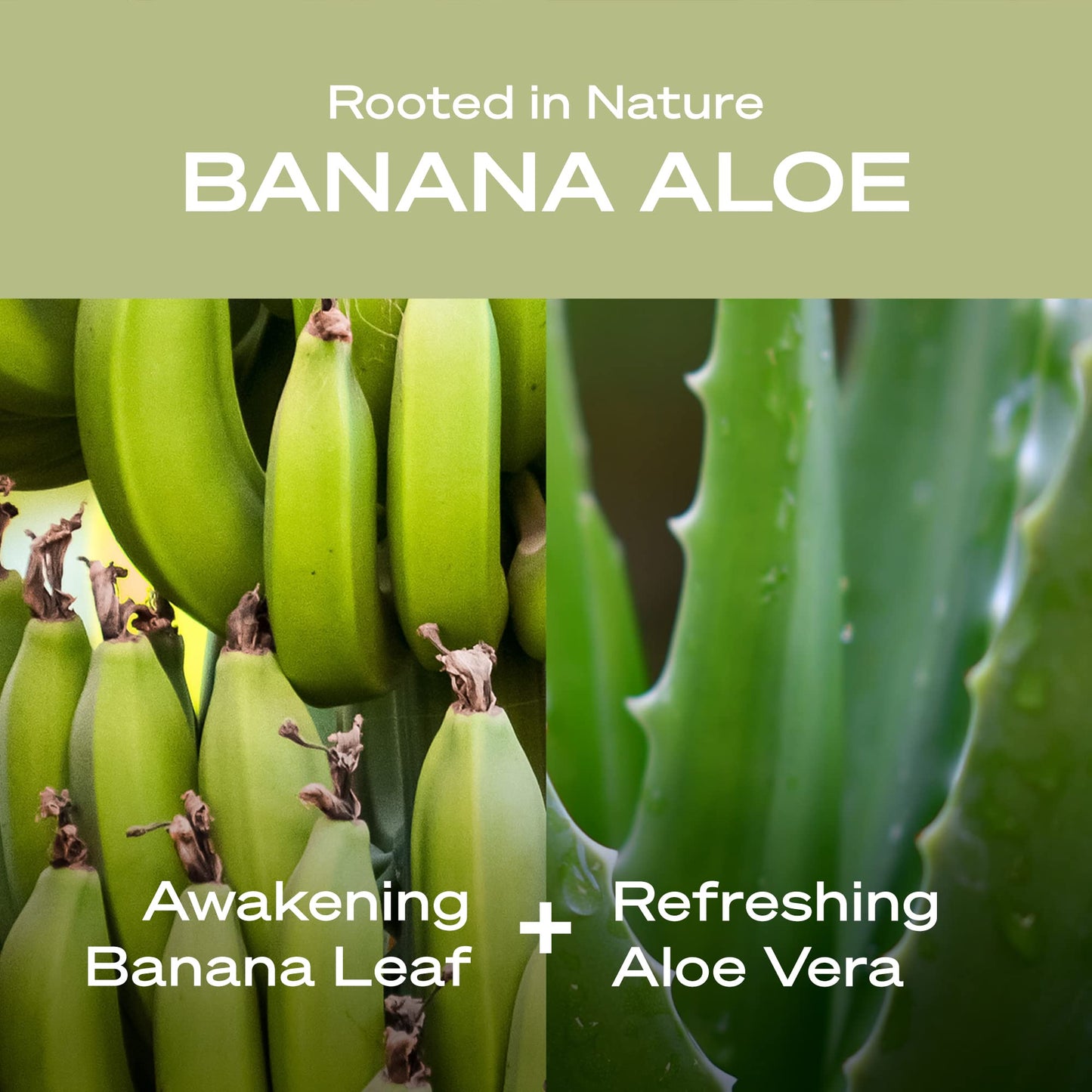 Hey Humans Banana Aloe Moisturizing Body Wash with Natural Ingredients & Jojoba Oil | Clean, Vegan, Sulfate Free Bath & Body Wash for Women & Men |
