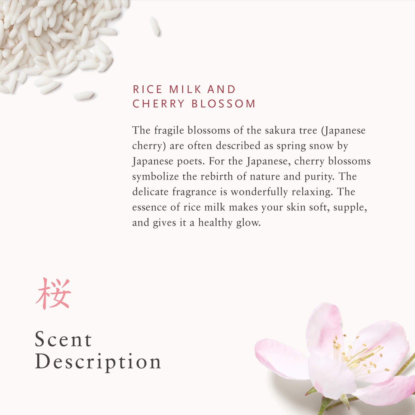 RITUALS The Ritual of Sakura Foaming Shower Gel Cherry Blossom, 6.7 Fl Oz