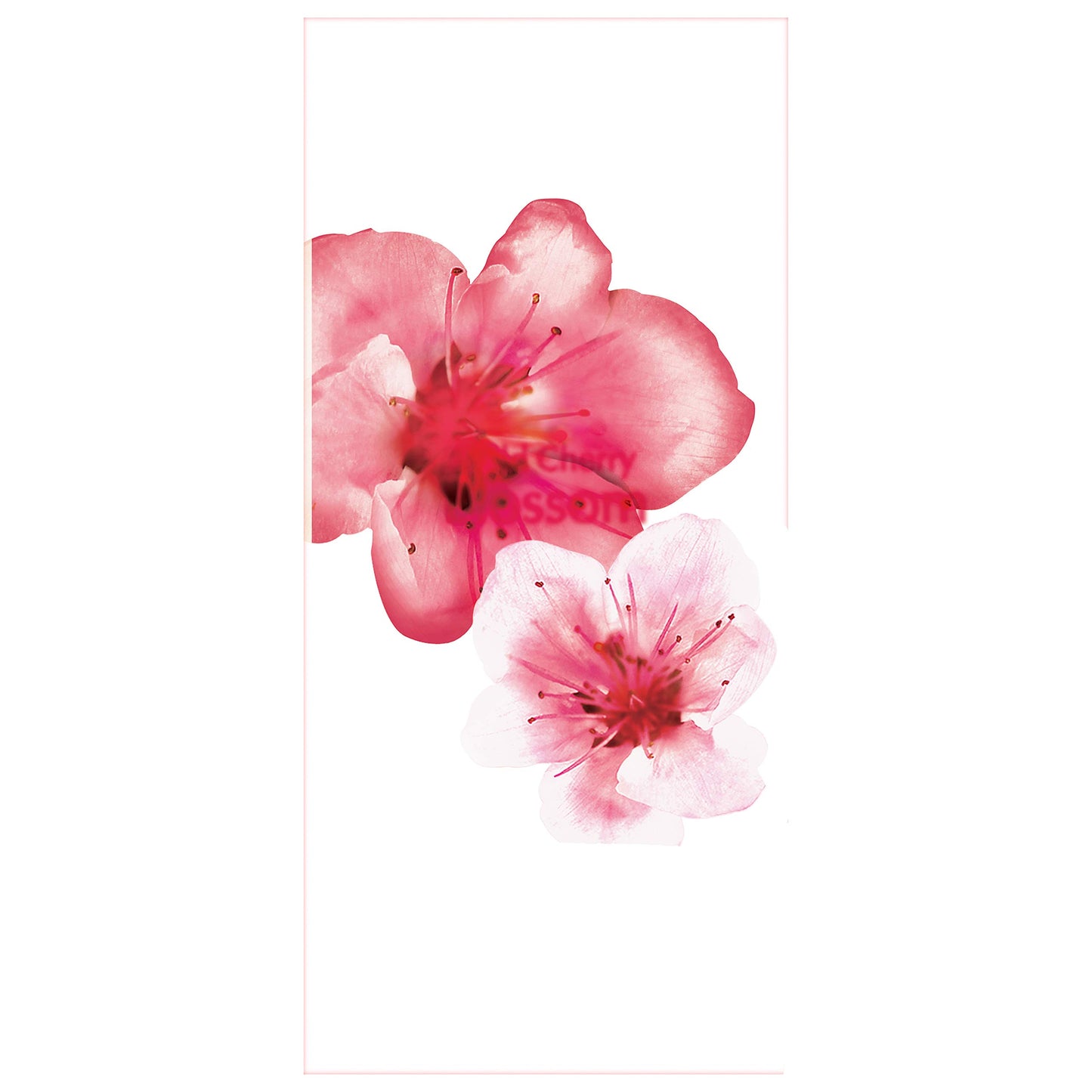 Suave, Essentials Body Wash 12oz, wild cherry blossom, 12 Fl. Oz