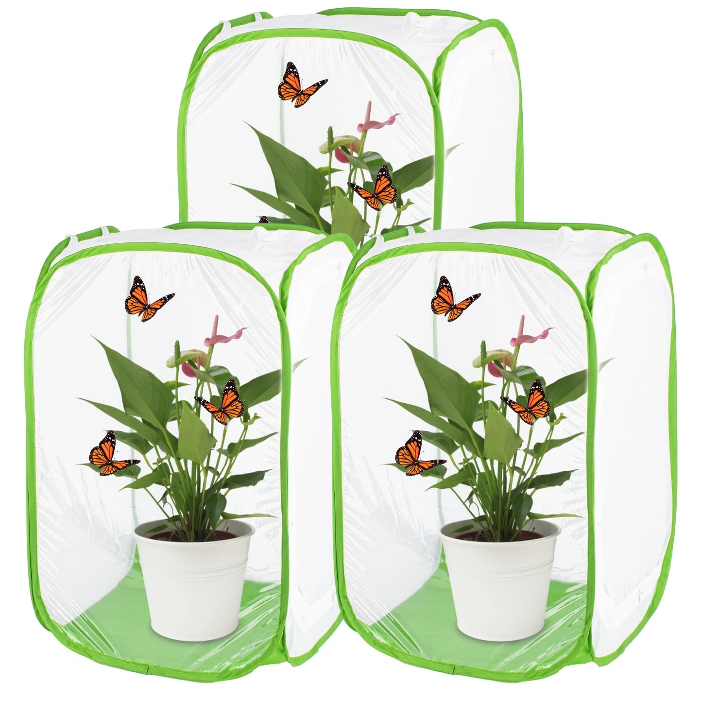 Antoll 3-Pack 24" Green Butterfly Habitat Cage – Monarch & Caterpillar Mesh Enclosure, Pop-Up Insect Observation Cage 16
