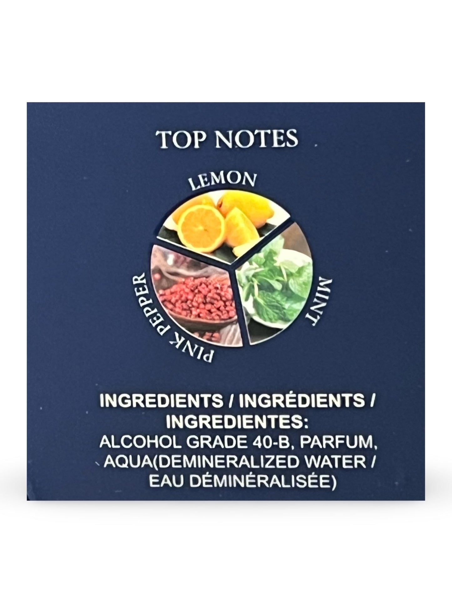 United Scents BLUE MEN Eau de Parfum for Men, 3.4 Fl Oz, Notes: Grapefruit, Lemon, Mint, Vetiver