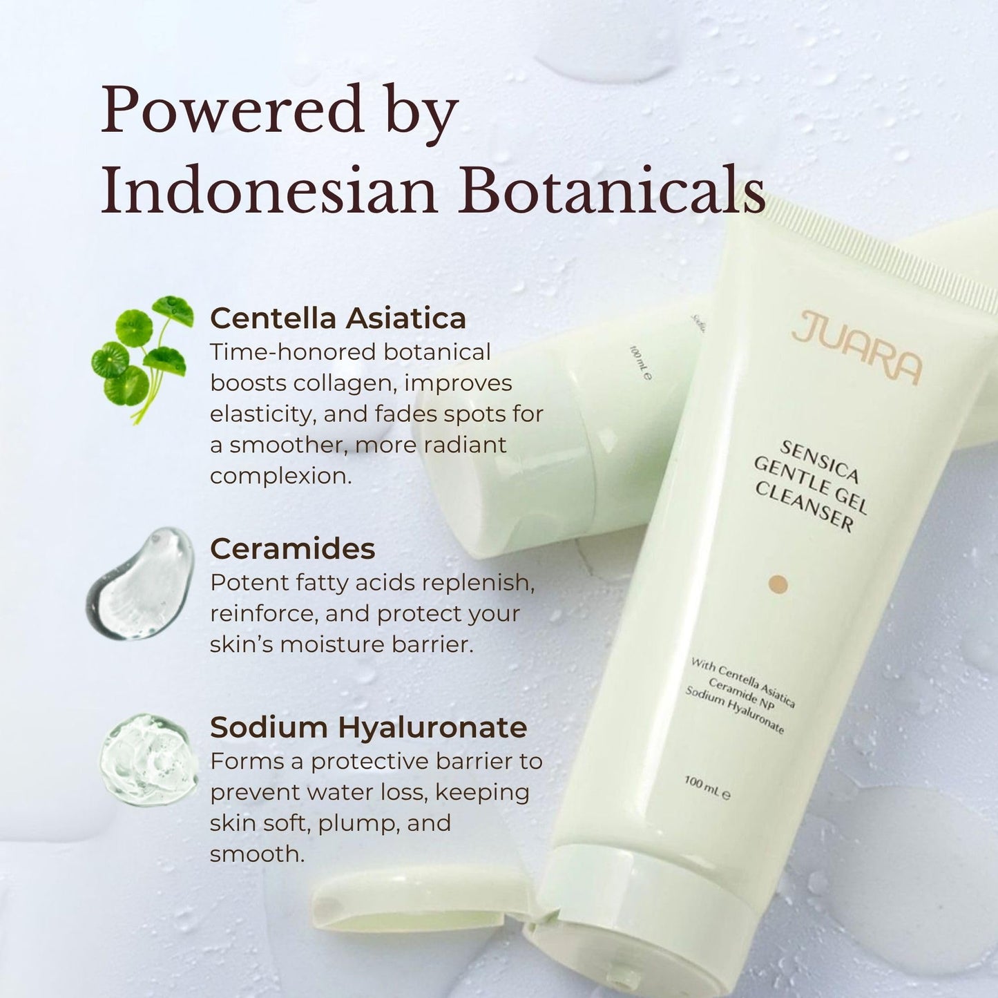 JUARA Sensica Gentle Gel Cleanser - Sulfate Free Face Wash for Sensitive Skin with Plant Extracts & MultiEx BSASM - Natural Daily Facial Cleanser, 3.3