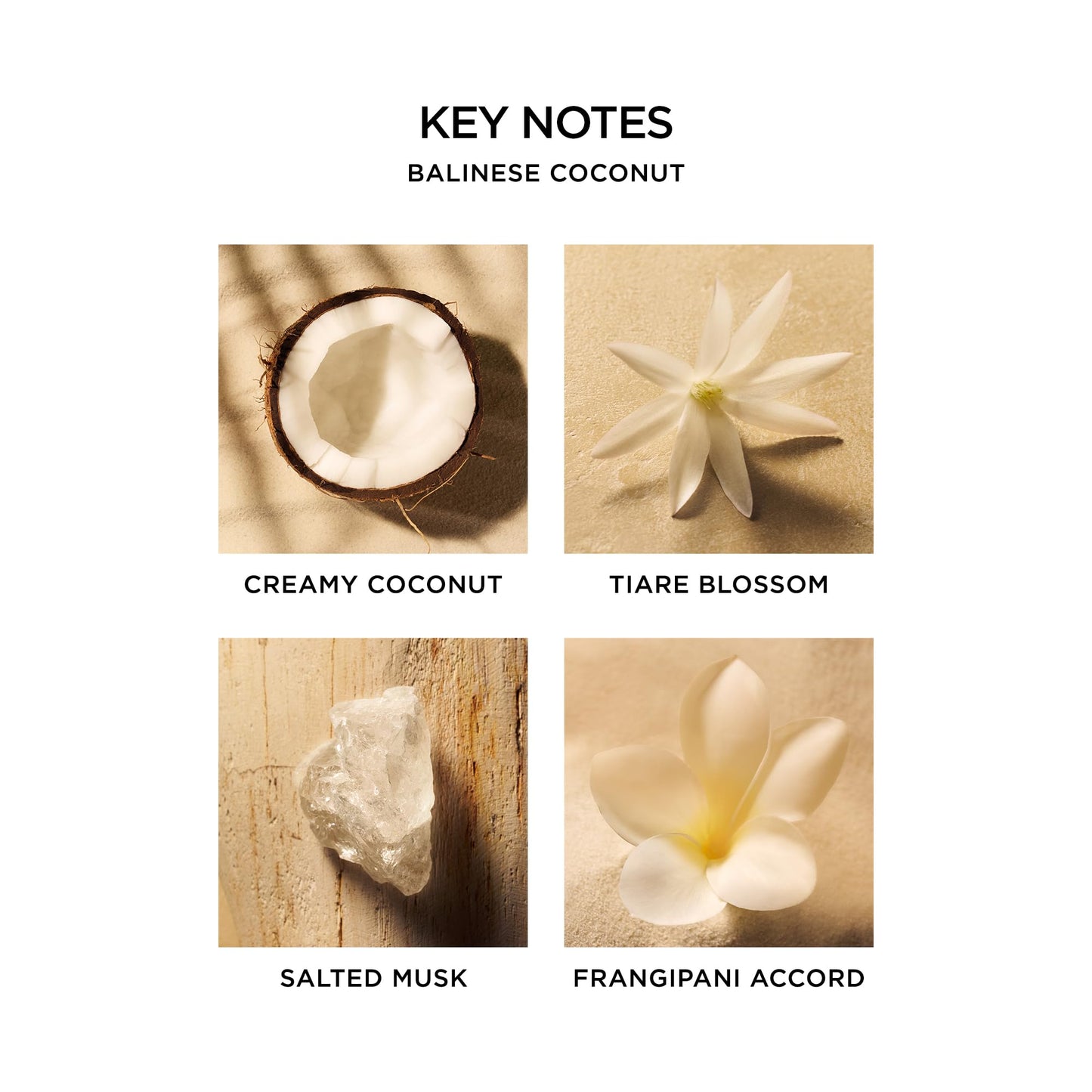 NEST New York Balinese Coconut Body Mist - 125 mL