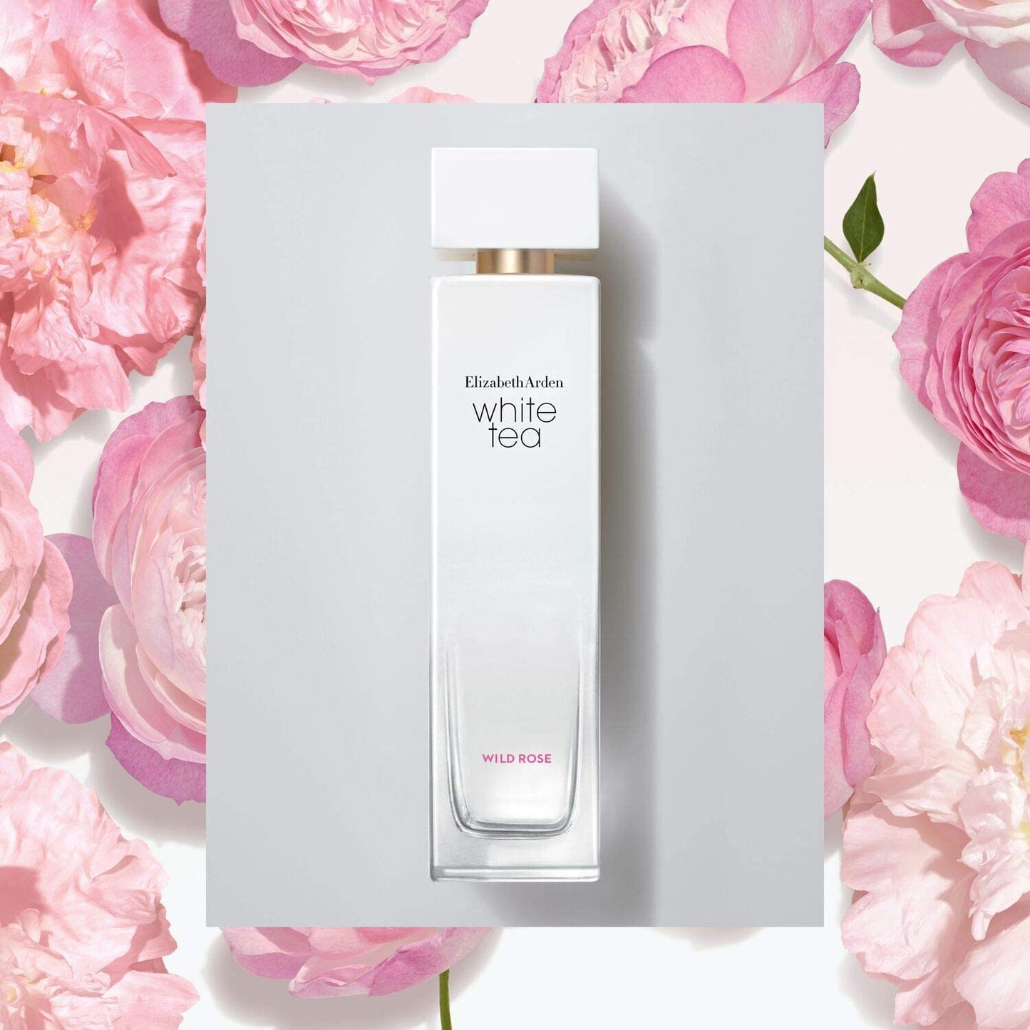 Elizabeth Arden White Tea Wild Rose Eau De Toilette Spray, Perfume for Women, 1.7 fl oz