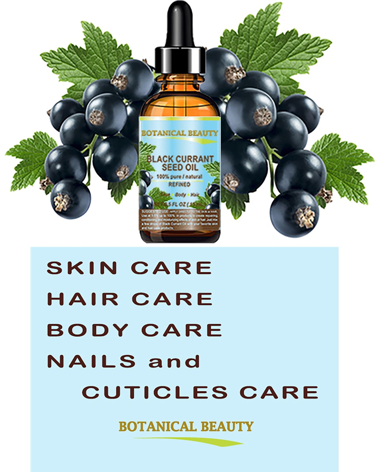 Botanical Beauty BLACK CURRANT SEED OIL 100% Pure Natural Undiluted Refined Cold Pressed Carrier Oil for Skin, Hair, Lip and Nail Care (2 Fl Oz)