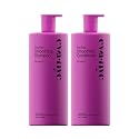 Eva NYC Anti-Frizz Shampoo and Conditioner Set with Argan Oil + Sunflower Seed Oil - Leaves Hair Soft, Shiny and Nourished - Sulfate-Free - Warm