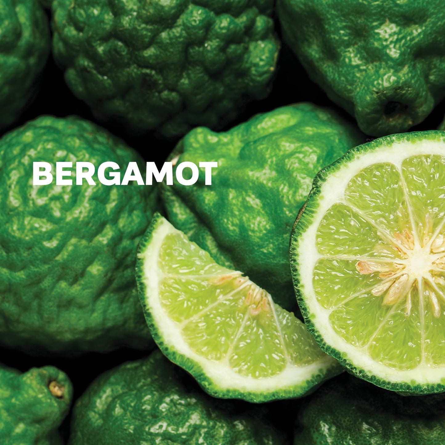 Zermat Magnétiser, Fragrance for Men, Warm-Woodsy Scent 2 Fl. Oz