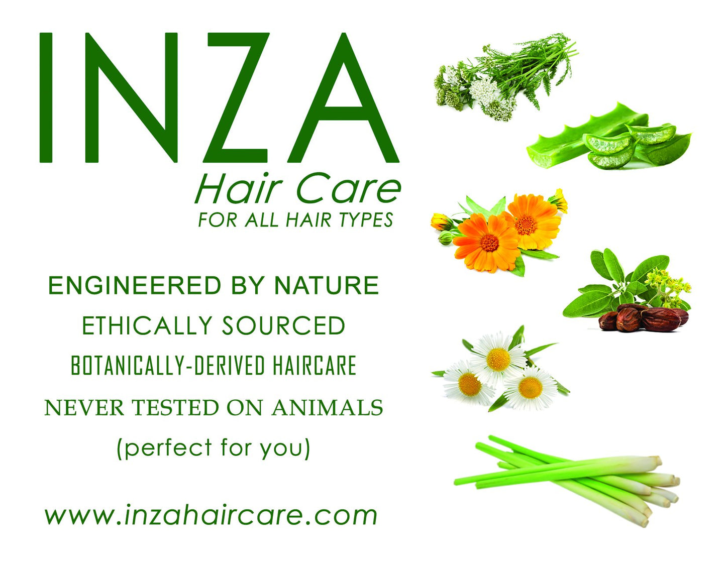 Inza Smooth Shampoo and Conditioner Set