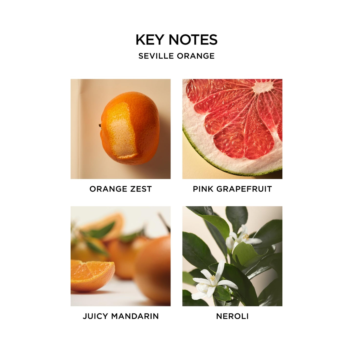 NEST New York Seville Orange Perfume Oil (Rollerball) - 6 mL