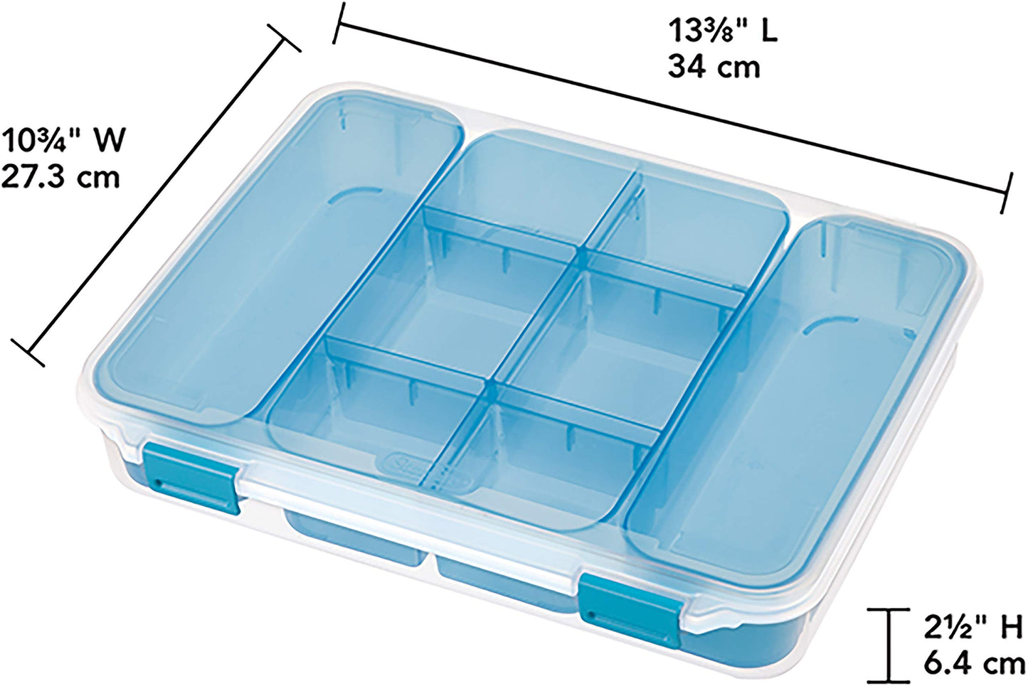 STERILITE Divided Case, Multicolor
