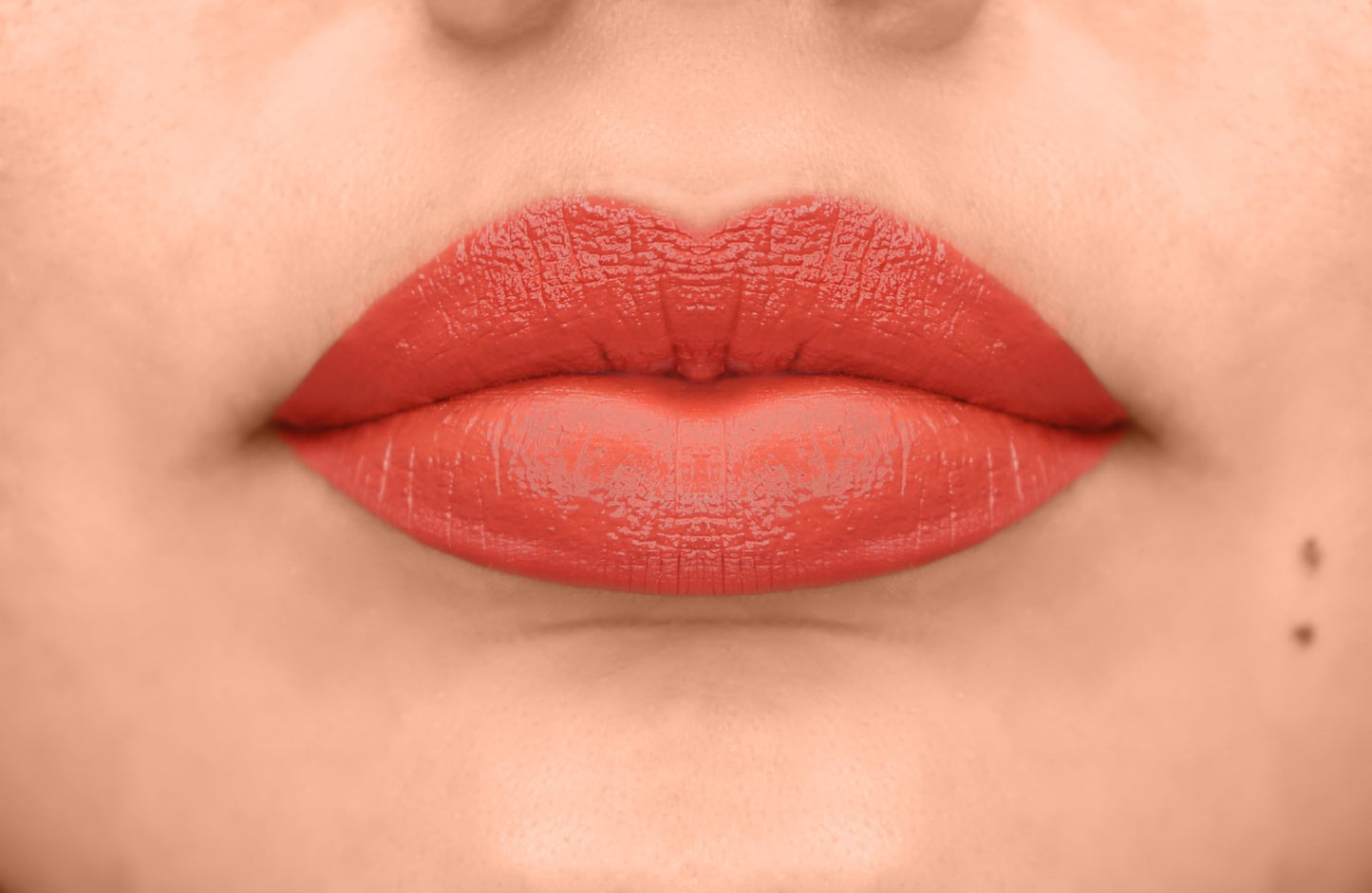 L.A. COLORS Velvet Plush Creamy Lip Color, Velour CLC666