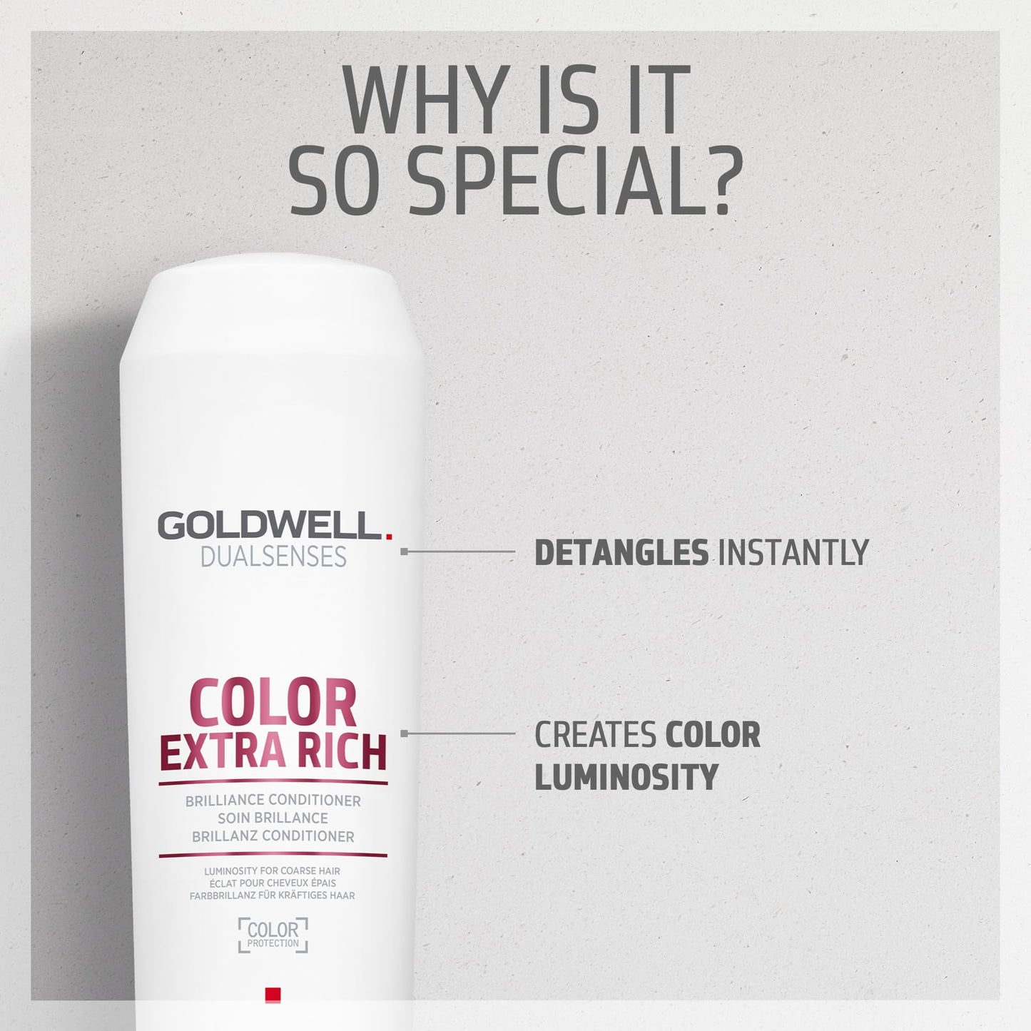Goldwell Dualsenses Color Extra Rich Brilliance Conditioner, 10.1 Fl Oz (Pack of 1)