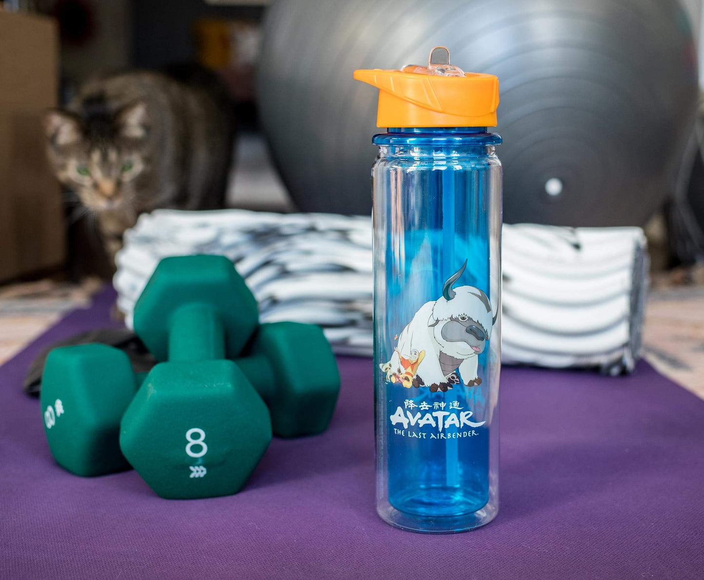 Avatar: The Last Airbender Aang and Appa Water Bottle | BPA-Free Plastic Bottle With Screw Top And Flip-Up Straw Lid | Sports Hydration | Holds 16