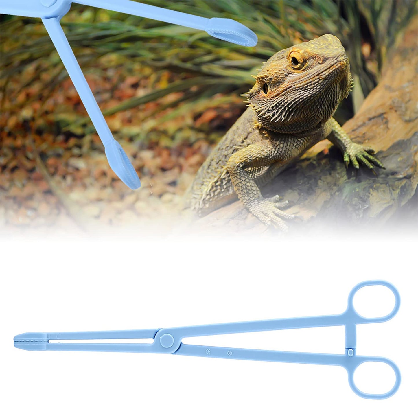 Reptile Feeding Tongs Blue Plastic Snake Lizard Clamps 24.5cm Wide Grip Safe Handling Tool for Pet Owners Breeders Amphibian Terrarium Enthusiasts Beauty and Personal Care GLOGLOW