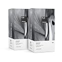 IGK Permanent Color Kit TITANIUM - Pure Cool Gray BA | Easy Application + Strengthen + Shine | Vegan + Cruelty Free + Ammonia Free | 4.75 Oz (2 Pack)