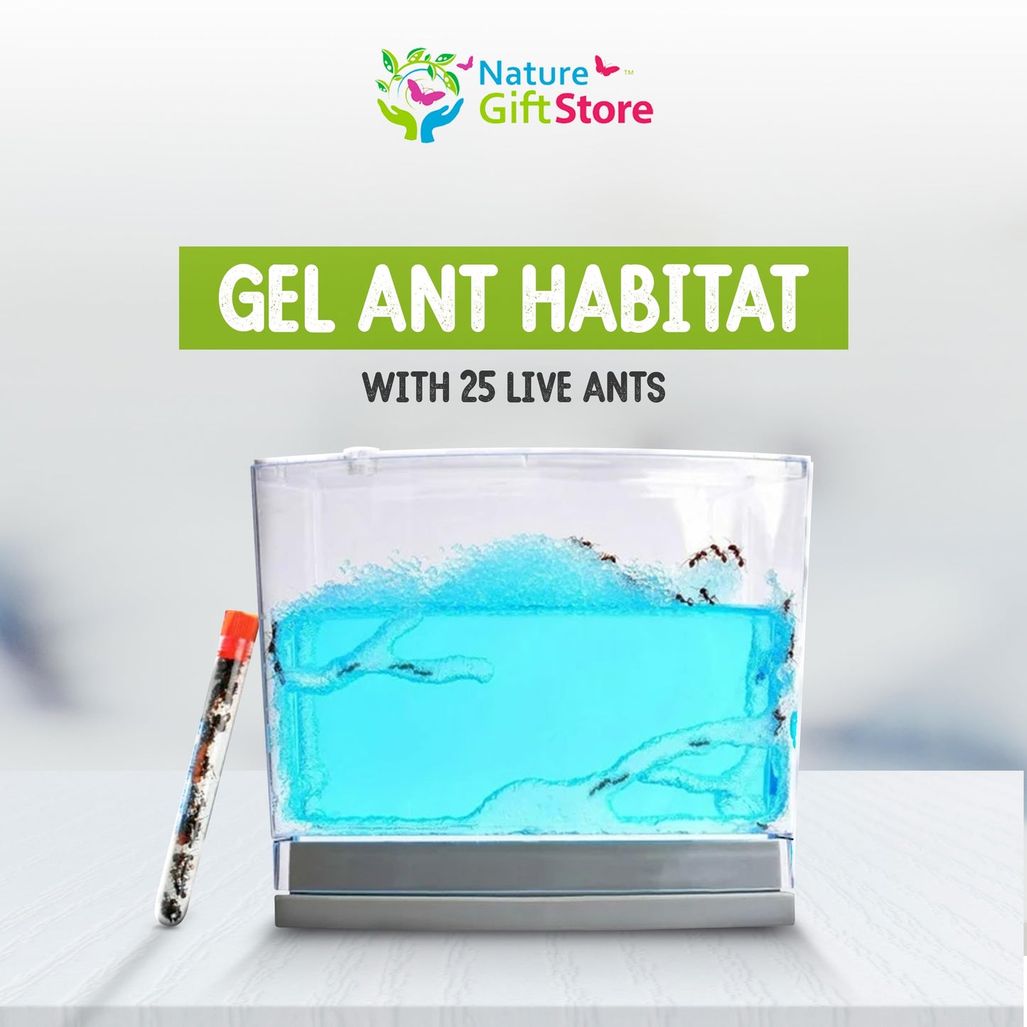 Ant Habitat Kit with 25 Live Ants Shipped Now - Ant Terrarium Complete Set with Clear Nutrient Gel - Perfect for Learning and Fascinating Observation
