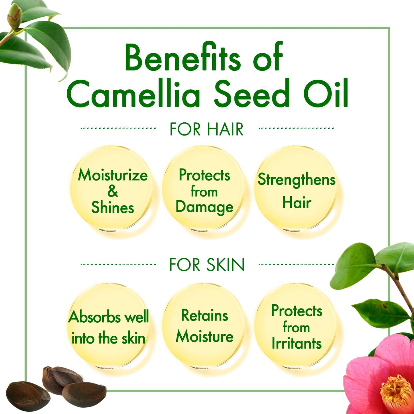 Oshima Tsubaki Camellia seed Oil - English Packaging for US - 100% Pure and Natural, Plant-Based, Single-Ingredient, Moisturizing for Hair, Face