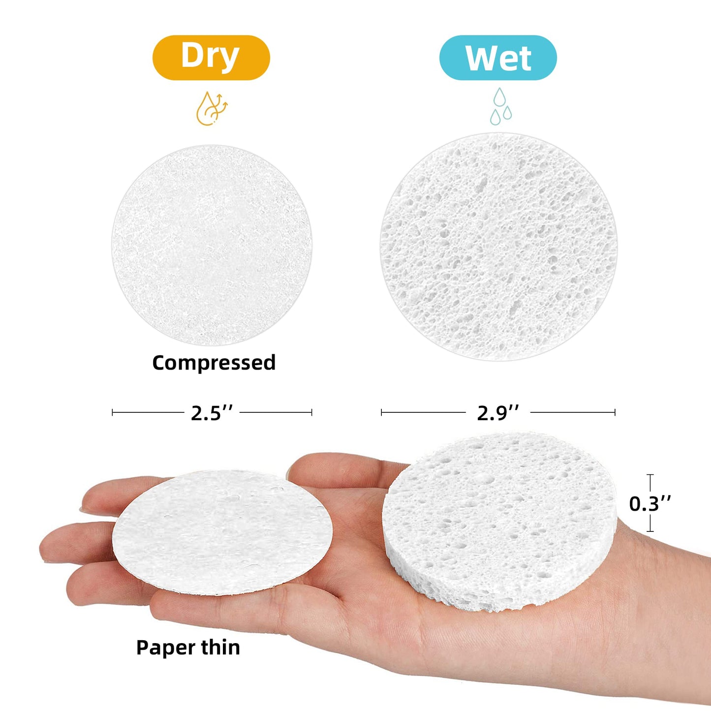 60-Count Compressed Facial Sponges|100% Natural Kickleen Cellulose Cosmetic Spa Sponges for Daily Facial Cleansing|Makeup and Mask Removal | Beauty and Personal Care kickleen