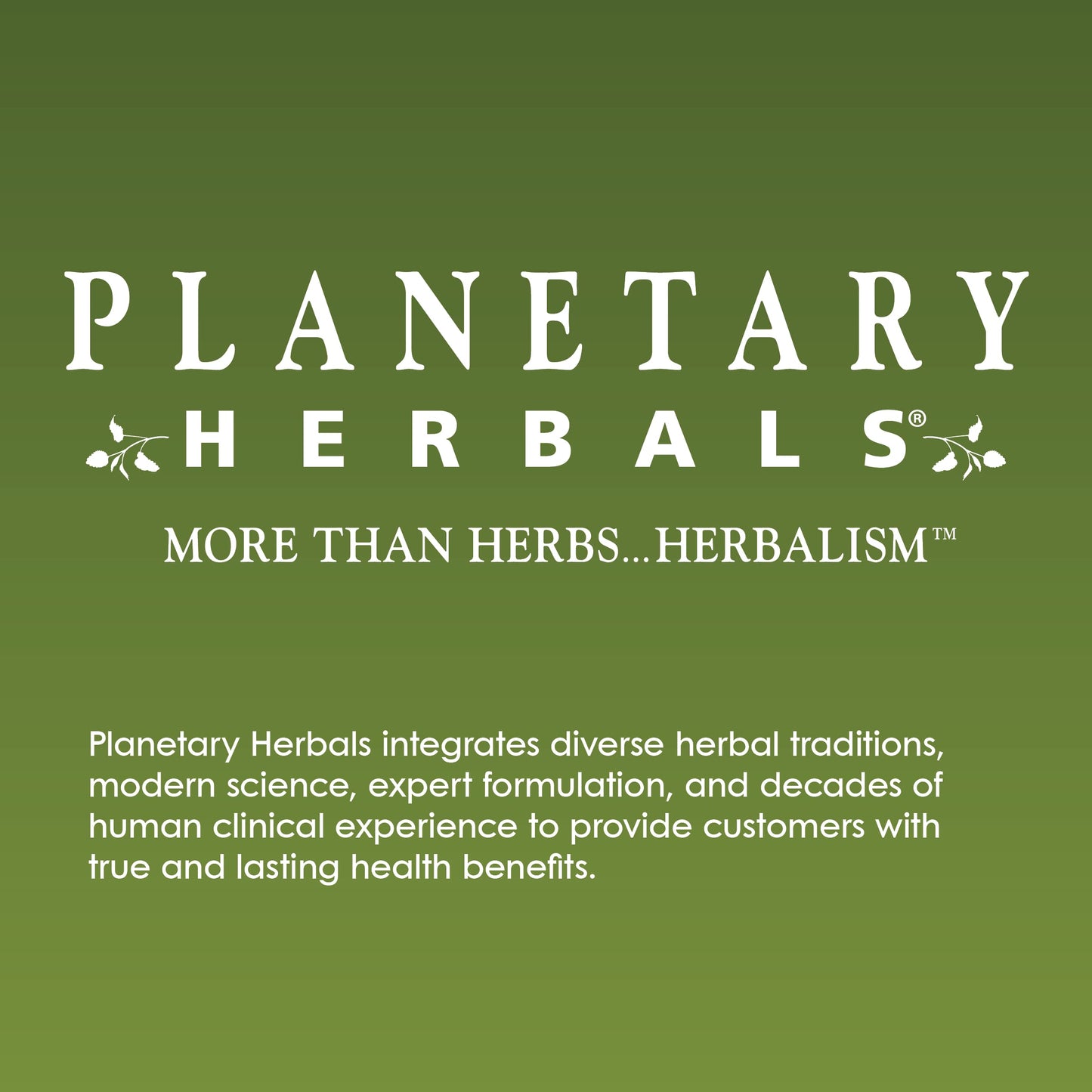 Planetary Herbals Horse Chestnut Cream - Tonifier for Tissues and Vein Appearance - 2 oz