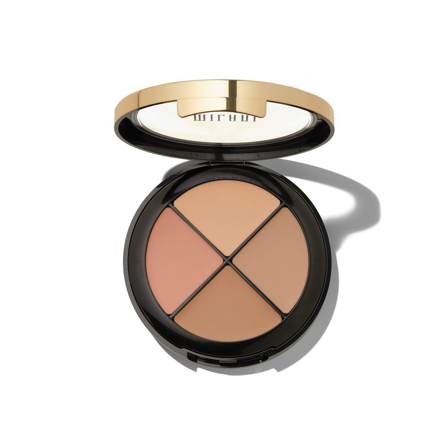 Conceal + Perfect All-in-One Palette - Medium To Dark