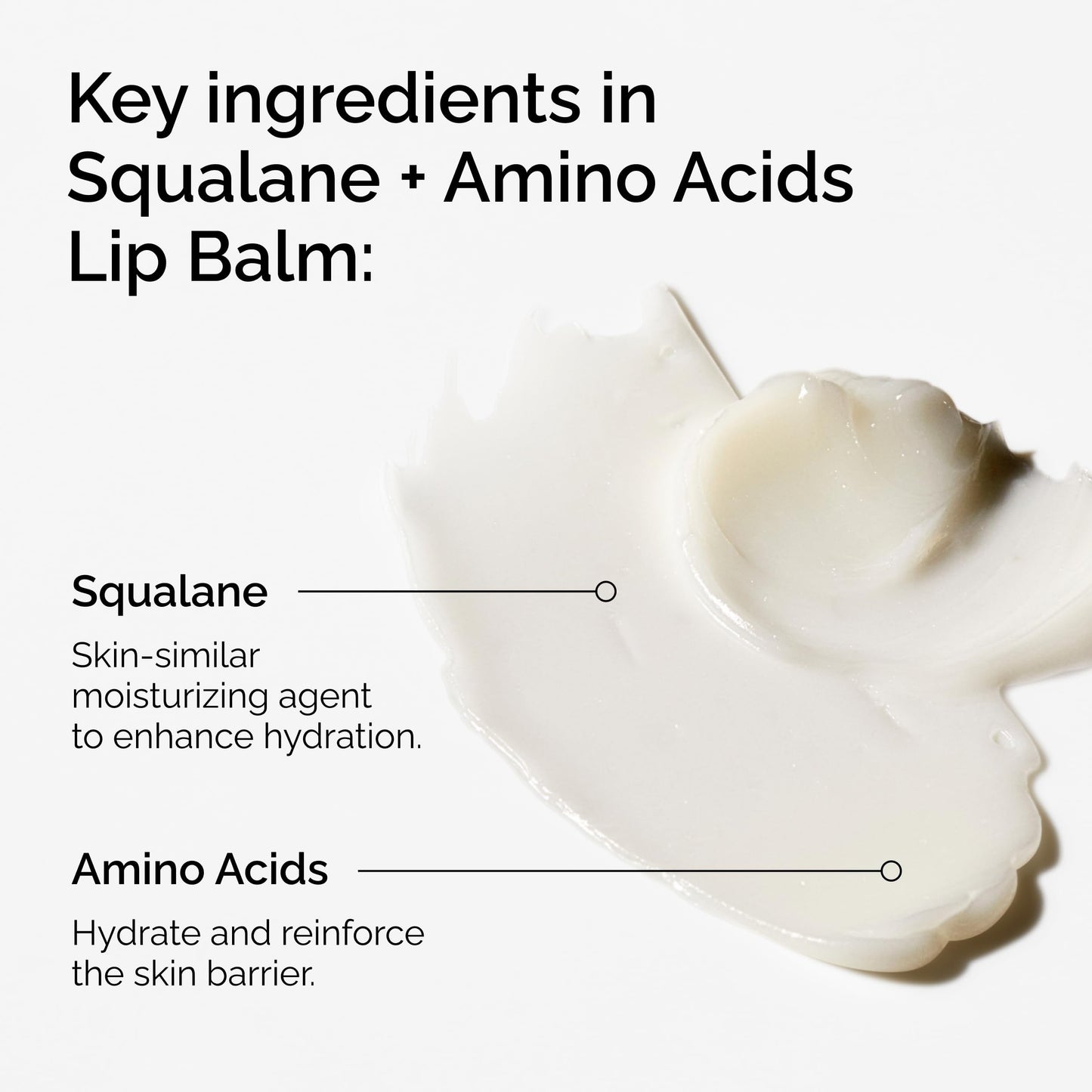 The Ordinary Squalane + Amino Acids Hydrating Lip Balm, for Lips, Elbows, and Cuticles, 0.5 Fl Oz Beauty and Personal Care The Ordinary