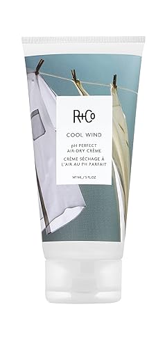 R+Co Cool Wind pH Perfect Air Dry Hair Cream (5 Oz) | Hydrates + Tames + Softens | Vegan + Cruelty-Free |