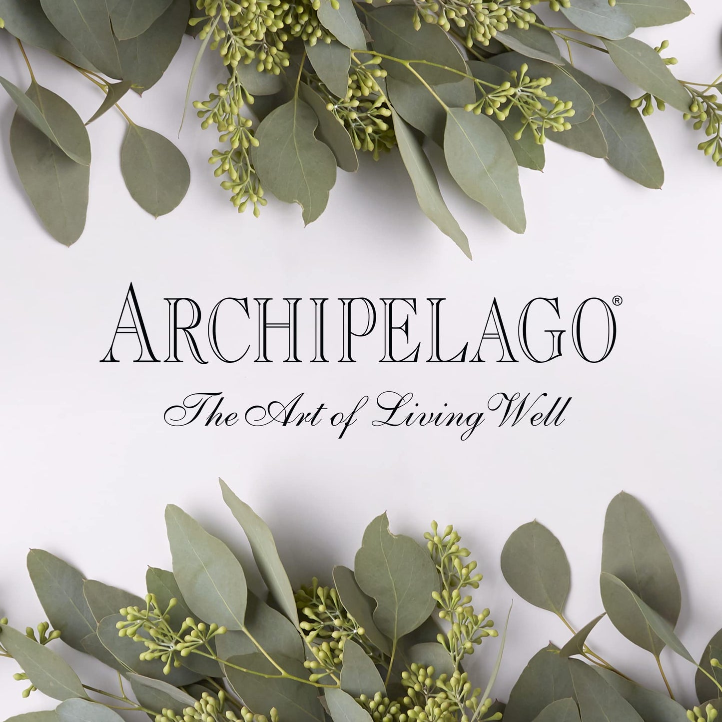 Archipelago Botanicals Botanico de Havana Body Wash, Moisturizing Body Wash for Dry and Sensitive Skin, Gentle Daily Cleanser, Free from Parabens