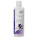 PROVON Ultimate Shampoo and Body Wash, Herbal Scent, 8 fl oz 2 -in -1 Luxurious Hair/Bodywash Squeeze Bottle (Pack of 48) - 4227-48